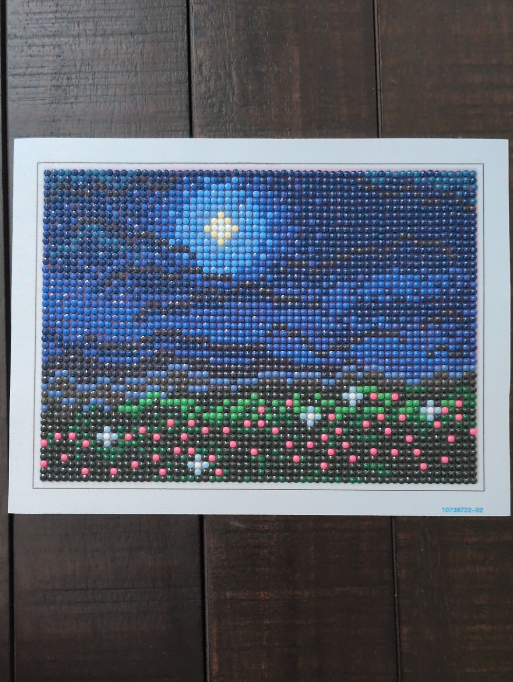 Diamond Art Night Sky with Flower Field